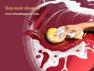 Non-toxic cleaners-www.cleankangaroo.com