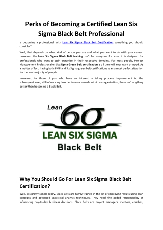 Perks of Becoming a Certified Lean Six Sigma Black Belt Professional