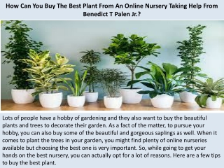 How Can You Buy The Best Plant From An Online Nursery Taking Help From Benedict T Palen Jr.?