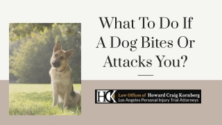 What To Do If A Dog Bites Or Attacks You?