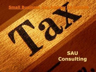 Small Business Tax Advisor In Canada- SAU Consulting
