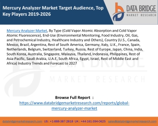Mercury Analyzer Market Target Audience, Top Key Players 2019-2026