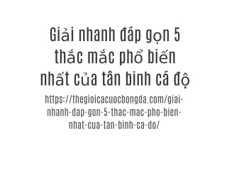 Giải nhanh đáp gọn 5 thắc mắc phổ biến nhất của tân binh cá độ