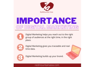 The Importance of Digital Marketing | RedMountain Asia