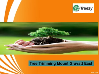 Tree Trimming Mount Gravatt East