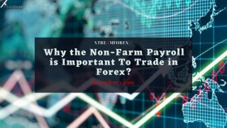 Why the Non-Farm Payroll is Important To Trade in Forex?