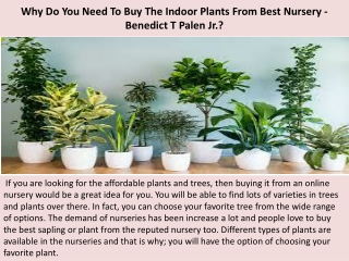 Why Do You Need To Buy The Indoor Plants From Best Nursery - Benedict T Palen Jr.?