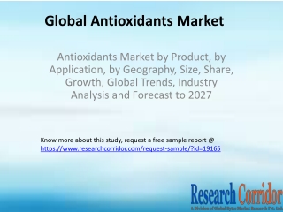 Antioxidants Market by Product, by Application, by Geography, Size, Share, Growth, Global Trends, Industry Analysis and