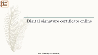 Get Digital signature certificate online at very decent price| paperless dsc