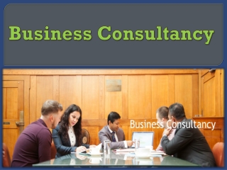 Business Consultancy