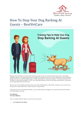 How To Stop Your Dog Barking At Guests - BestVetCare