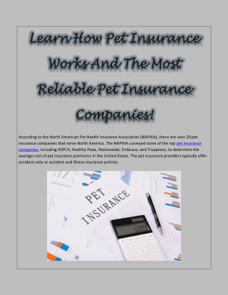 Learn How Pet Insurance Works And The Most Reliable Pet Insurance Companies!