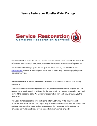 Service Restoration Water Damage Roselle