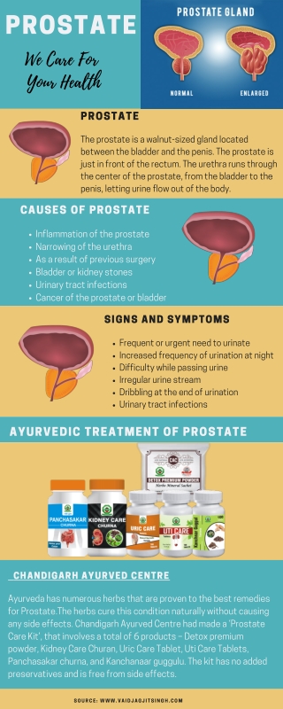 Prostate - Causes, Symptoms & Herbal Treatment