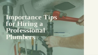 Importance tips for Hiring a Professional Plumbers