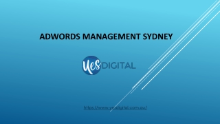 Adwords Management Sydney