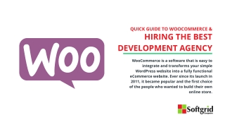 Quick Guide to WooCommerce & Hiring the Best Development Agency