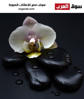 https://www.sogarab.com/ads/934.html  Massage is one of the oldest forms of health care. The renowned therapeutic trea