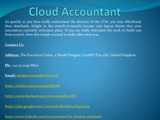 Online Accountant