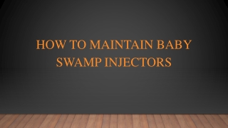 How To Maintain Baby Swamp Injectors