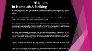 In Home MMA Striking