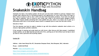 Snakeskin Bag