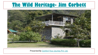 Luxury Accommodation in Jim Corbett | The Wild Heritage Resort Jim Corbett | Best Riverside Resort in Jim Corbett