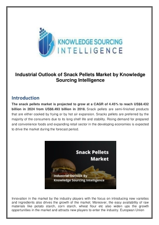 Industrial Outlook of Snack Pellets Market by Knowledge Sourcing
