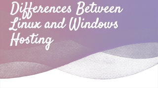 The Differences between Linux and Windows Hosting