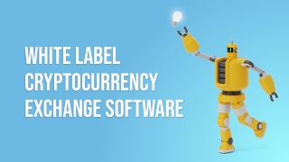 What is White label Cryptocurrency Exchange Software?