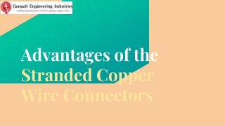 Advantages of Stranded Copper Wire Connectors