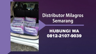 PALING LARIS! WA 0812-2107-9039, Agen Dan Distributor Milagros Semarang