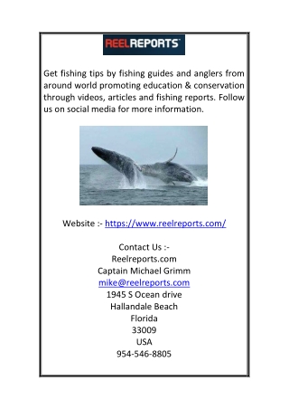 Best Local Fishing Reports | ReelReports.com