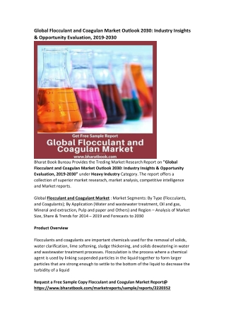 Global Flocculant and Coagulan Market Research Report Forecast 2030