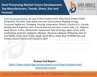 Steel Processing Market-Future Development, Top Manufacturers, Trends, Share, Size and Forecast