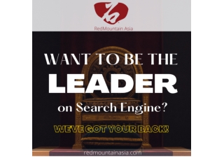 Leader on Search Engine | RedMountain Asia