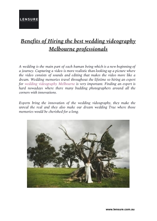 Best wedding Photography Meblourne