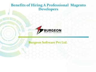 Benefits of Hiring A Professional Magento Developer in India