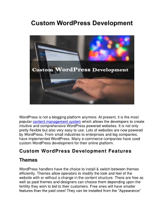 Custom WordPress Development