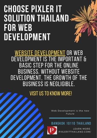 Choose Pixler IT Solution Thailand For Web Development