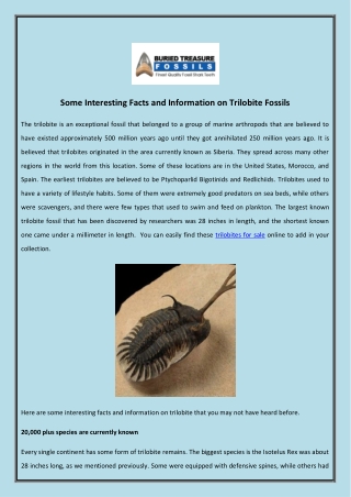 Some Interesting Facts And Information On Trilobite Fossils