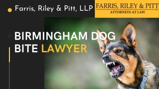 Birmingham Dog Bite Lawyer