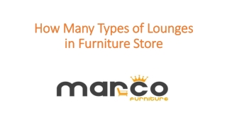 How Many Types of Lounges in Furniture Store