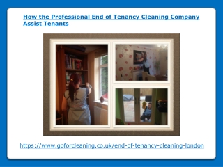 How End of Tenancy Cleaning Company Assist Tenants