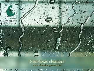 Non-toxic cleaners-www.cleankangaroo.com