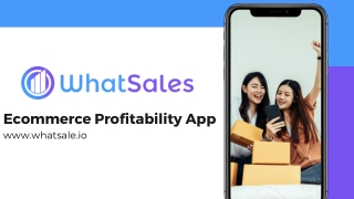 Ecommerce Profitability – Ecommerce Profitability App: