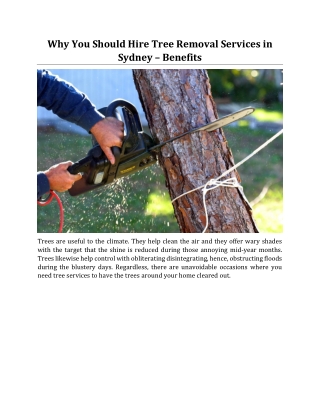 Why You Should Hire Tree Removal Services in Sydney – Benefits