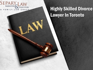 Highly Skilled Divorce Lawyer In Toronto