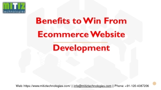 Benefits to Win From Ecommerce Website Development