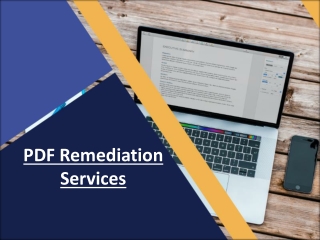 PDF Remediation Services -Damco Solutions